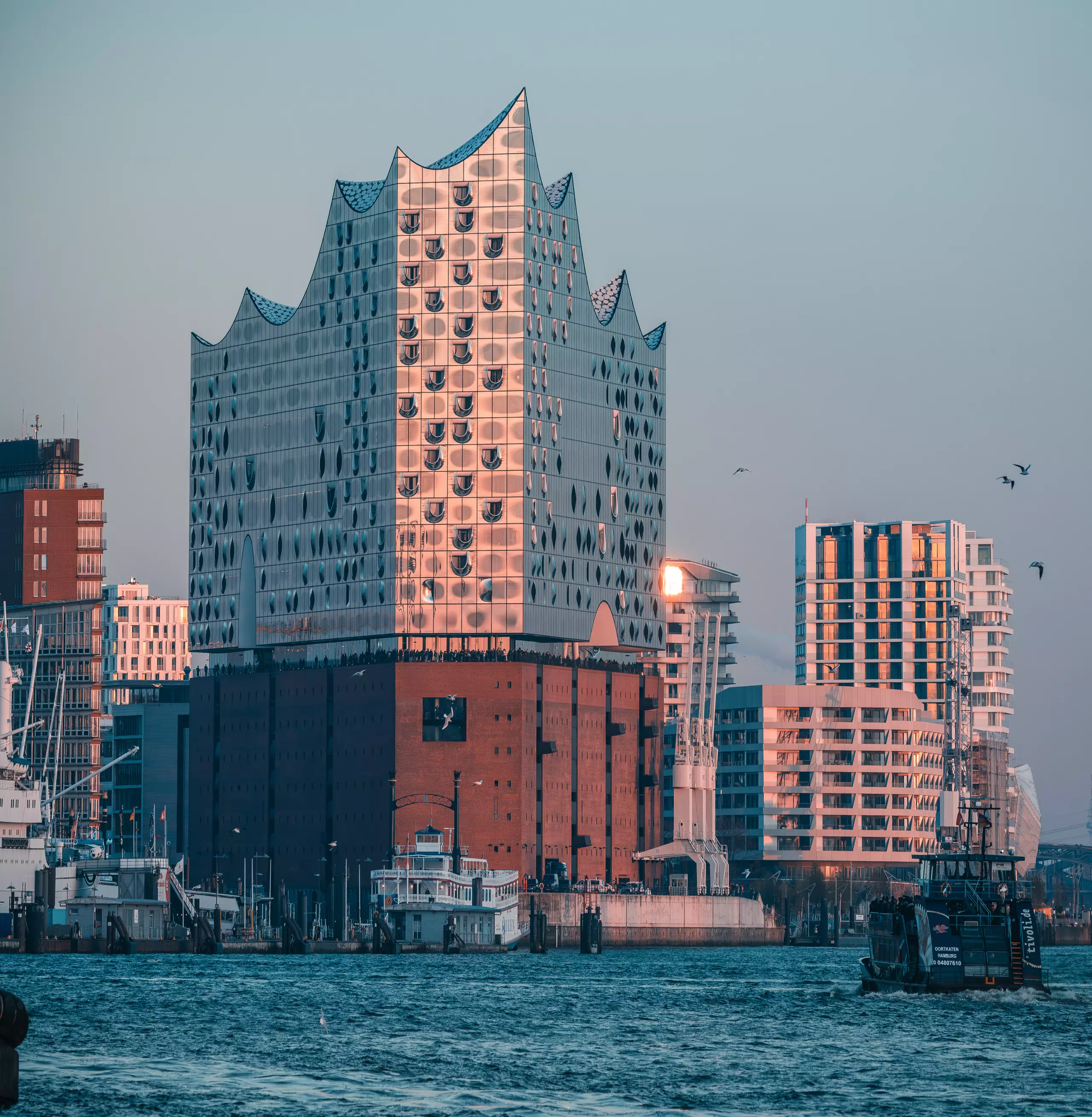 Die Elbphilharmonie in Hamburg